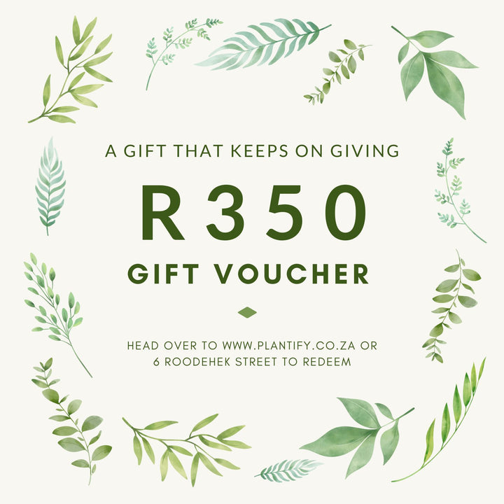 Plantify Gift Voucher - Shop Online!