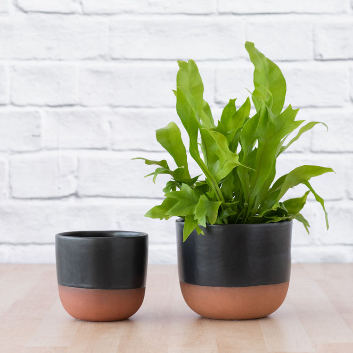 Pluto Planter - Charcoal - Shop Online!