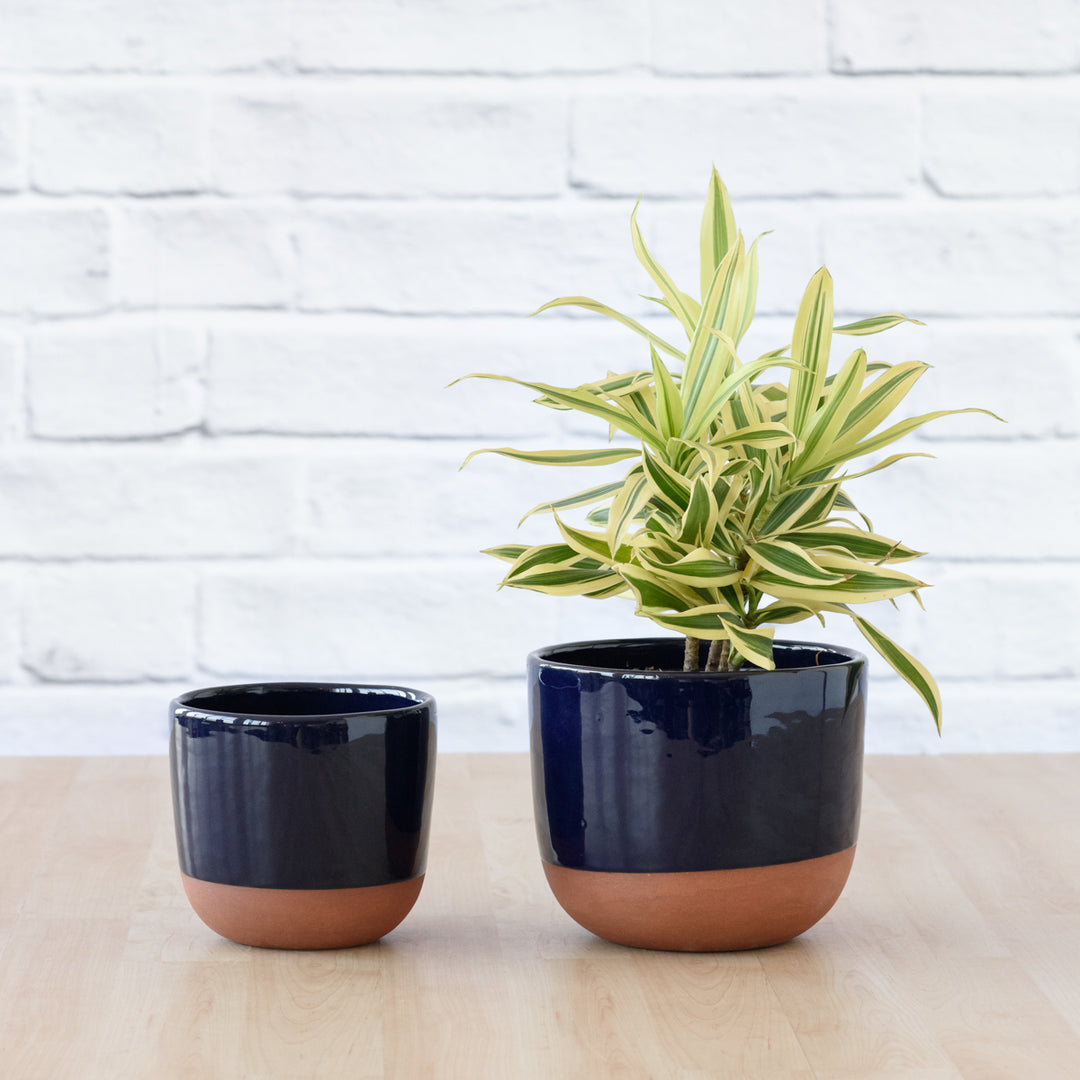 Pluto Planter - Navy Blue - Shop Online!