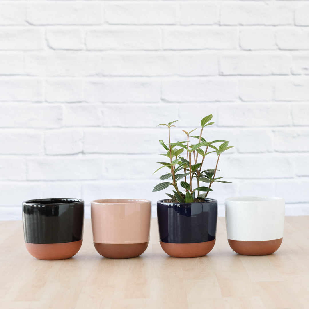 Pluto Planter - Navy Blue - Shop Online!
