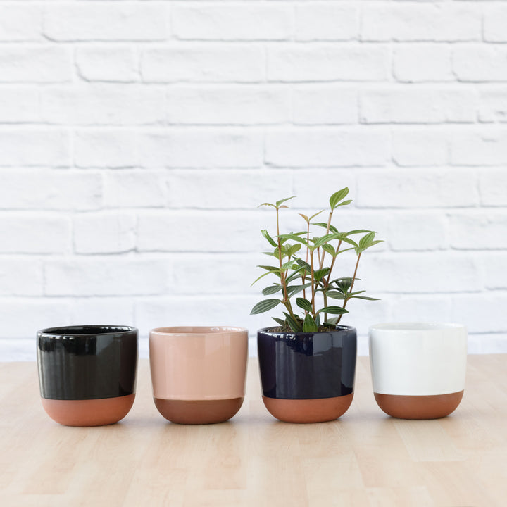 Pluto Planter - Navy Blue - Shop Online!