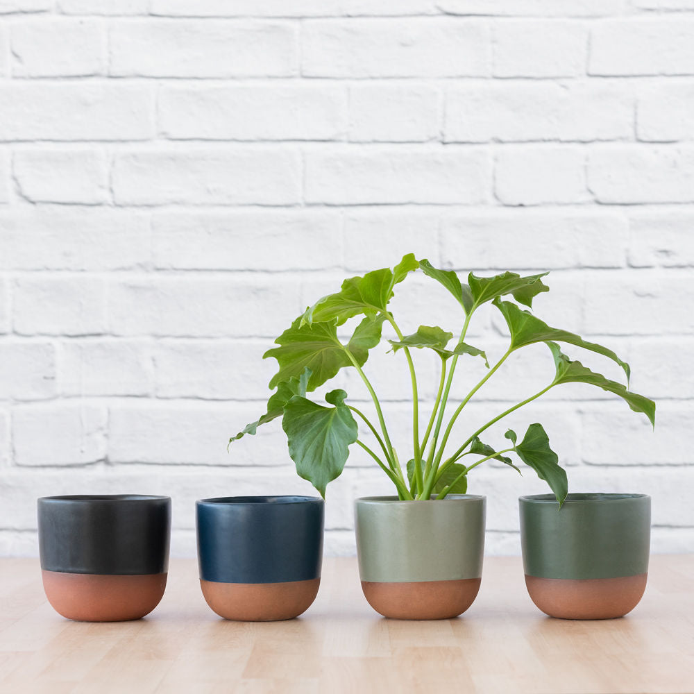 Pluto Planter - Charcoal - Shop Online!