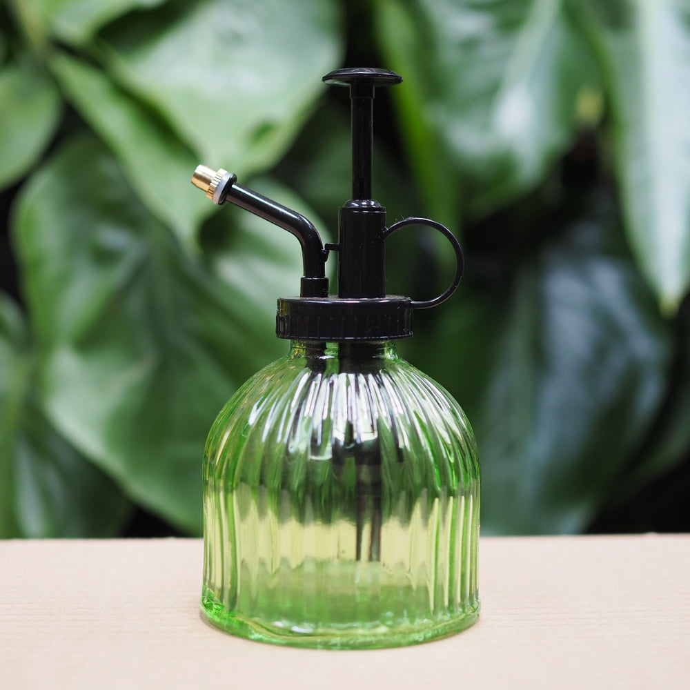 Retro Plant Mister - Shop Online!