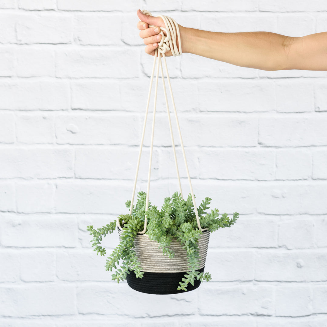 Donkey Tail - Burro - Shop Online!