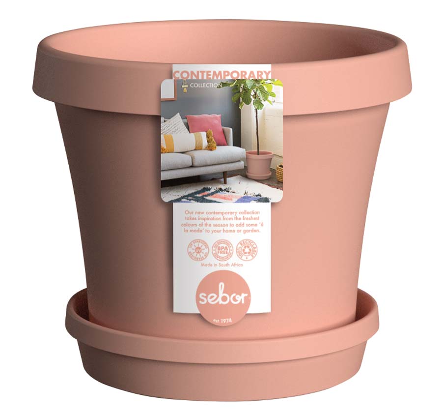 Sebor Super Pot - Peach - Shop Online!