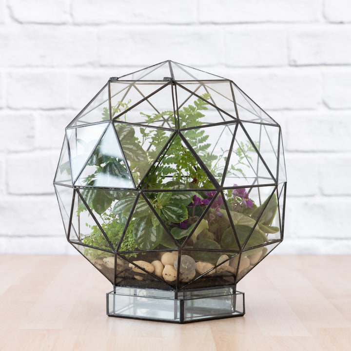 Terrarium - Biodome - Shop Online!