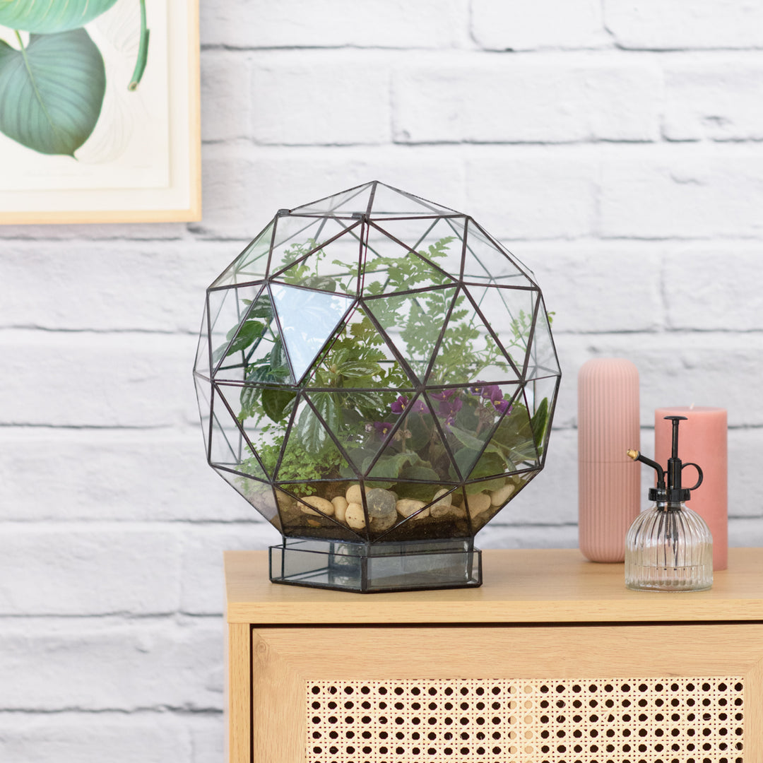 Terrarium - Biodome - Shop Online!