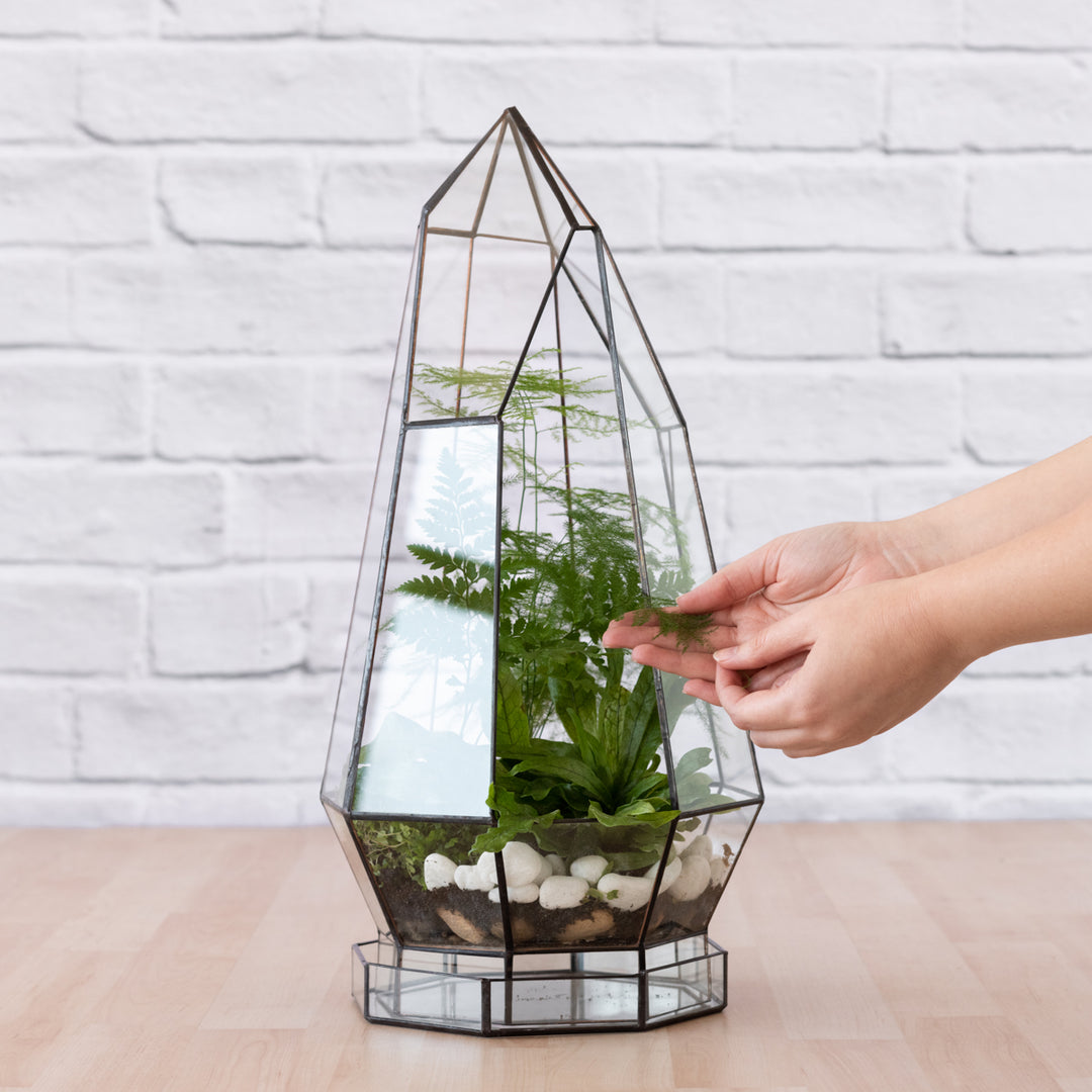 Terrarium - Cathedral - Shop Online!