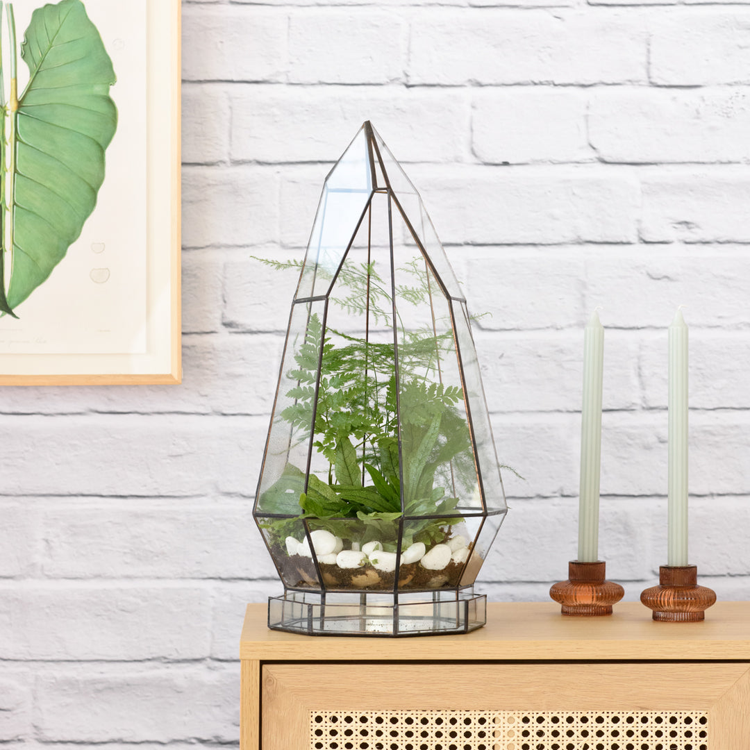 Terrarium - Cathedral - Shop Online!