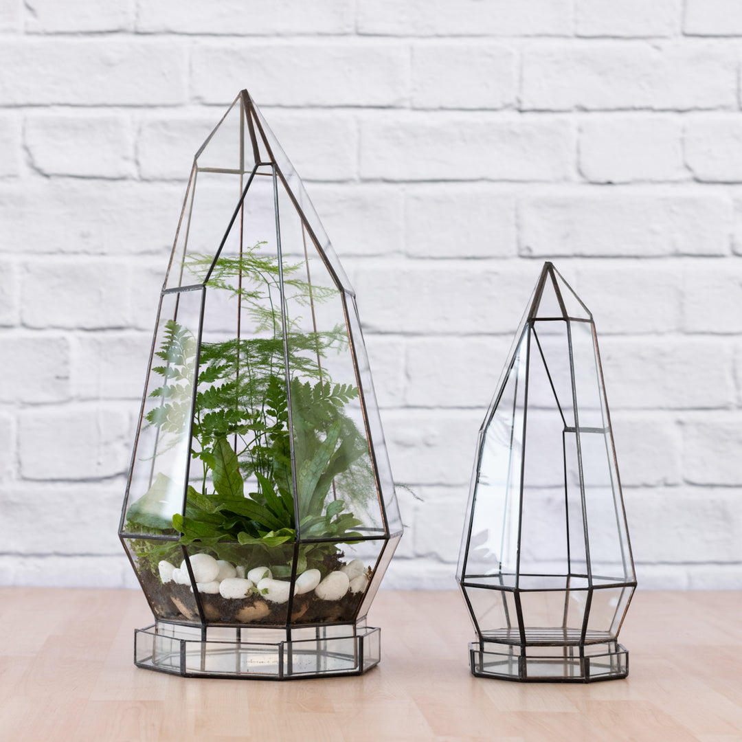 Terrarium - Cathedral - Shop Online!