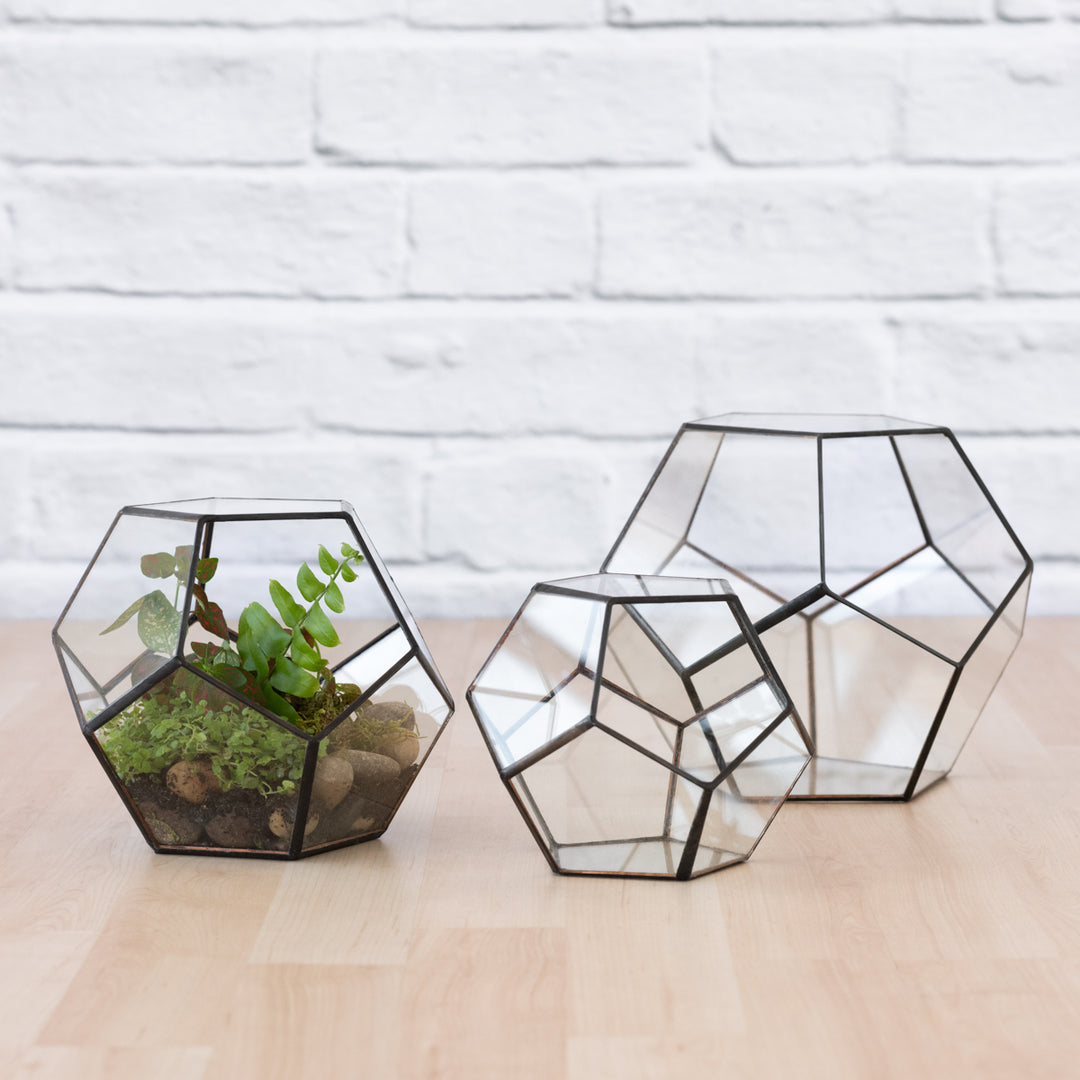 Terrarium - Geometric - Shop Online!