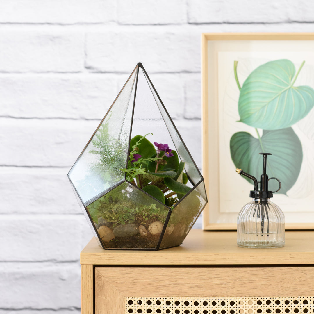 Terrarium - Pentagon - Shop Online!