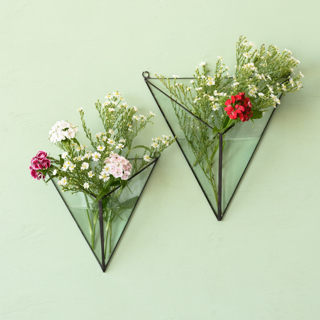 Wall Terrarium - 3D Triangle - Shop Online!
