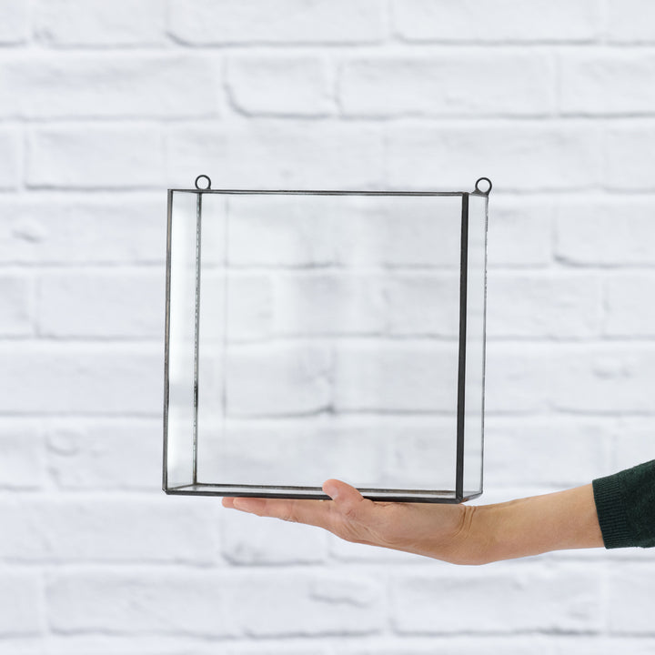 Wall Terrarium - Square - Shop Online!