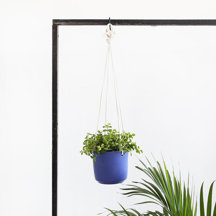 Emerson Leather Matte Hanging Pot - Shop Online!