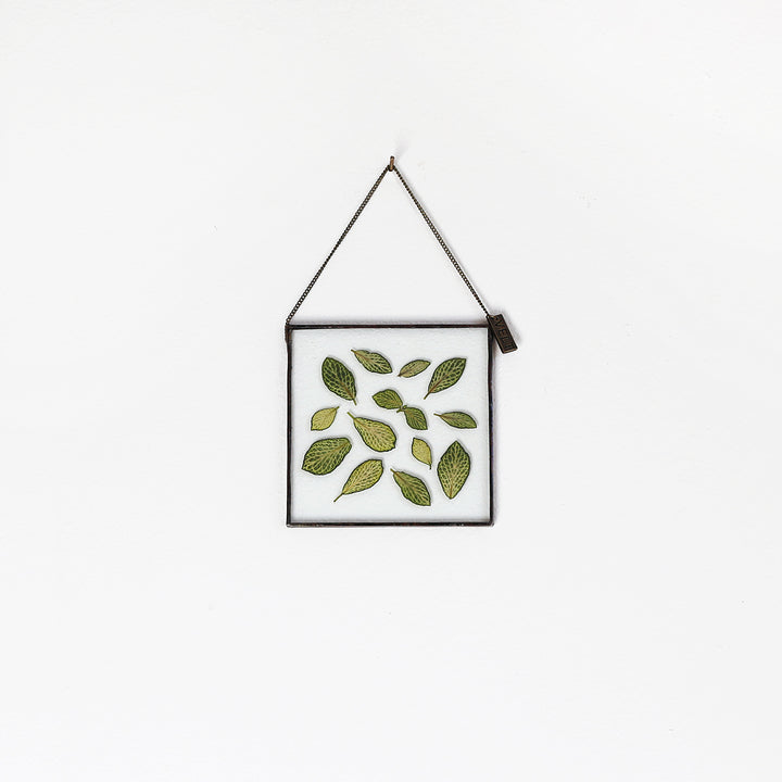 VELT Botanical Frame - Fittonia - Shop Online!