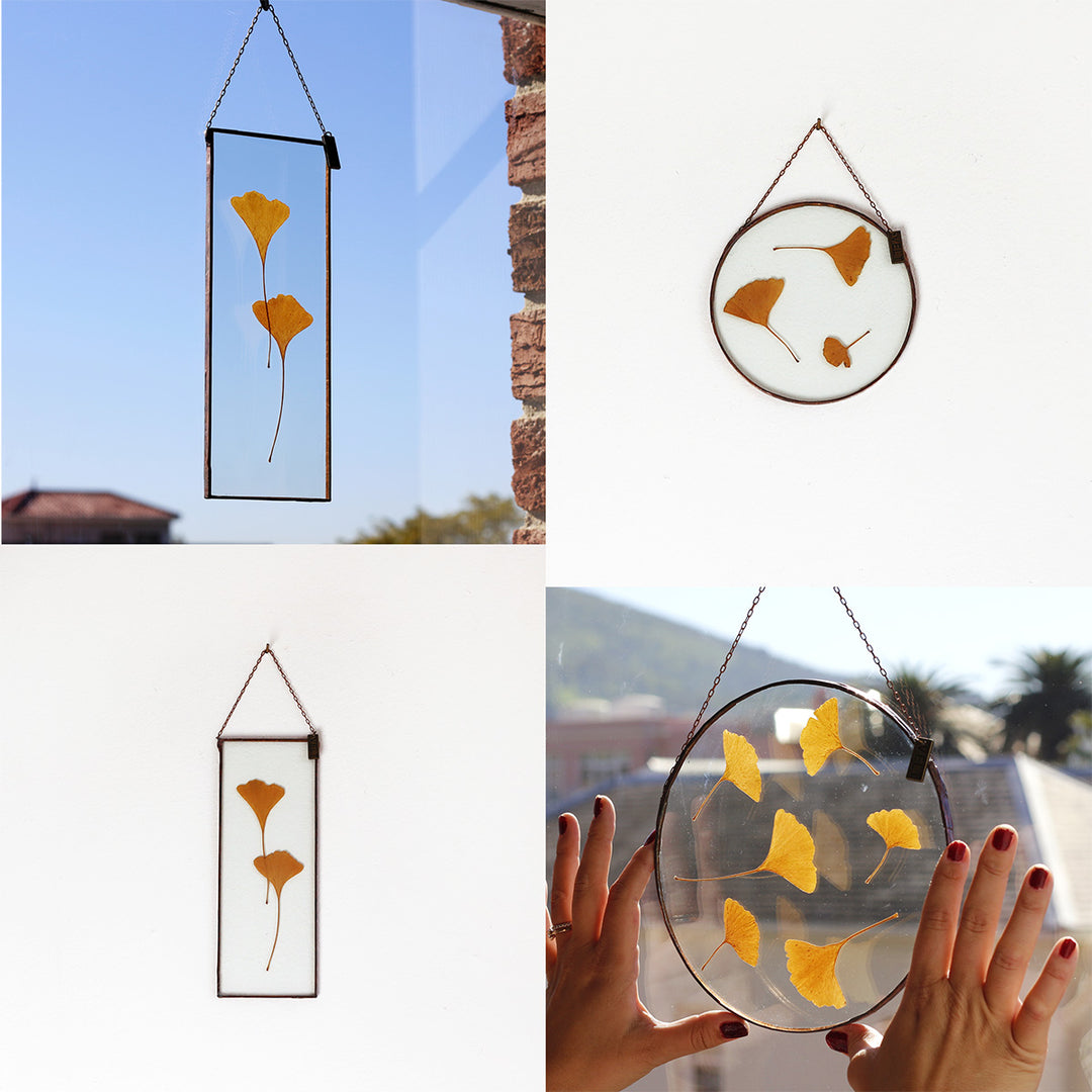 VELT Botanical Frame - Gingko - Shop Online!