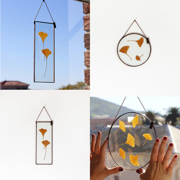 VELT Botanical Frame - Gingko - Shop Online!
