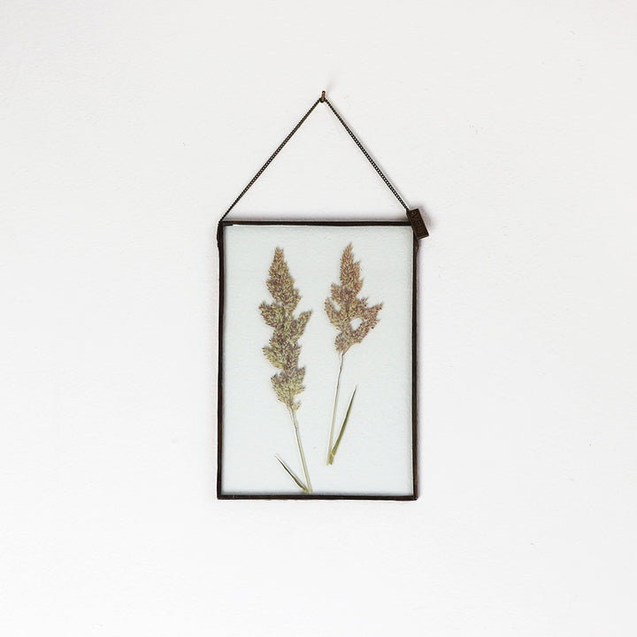VELT Botanical Frame - Wild Grasses - Shop Online!