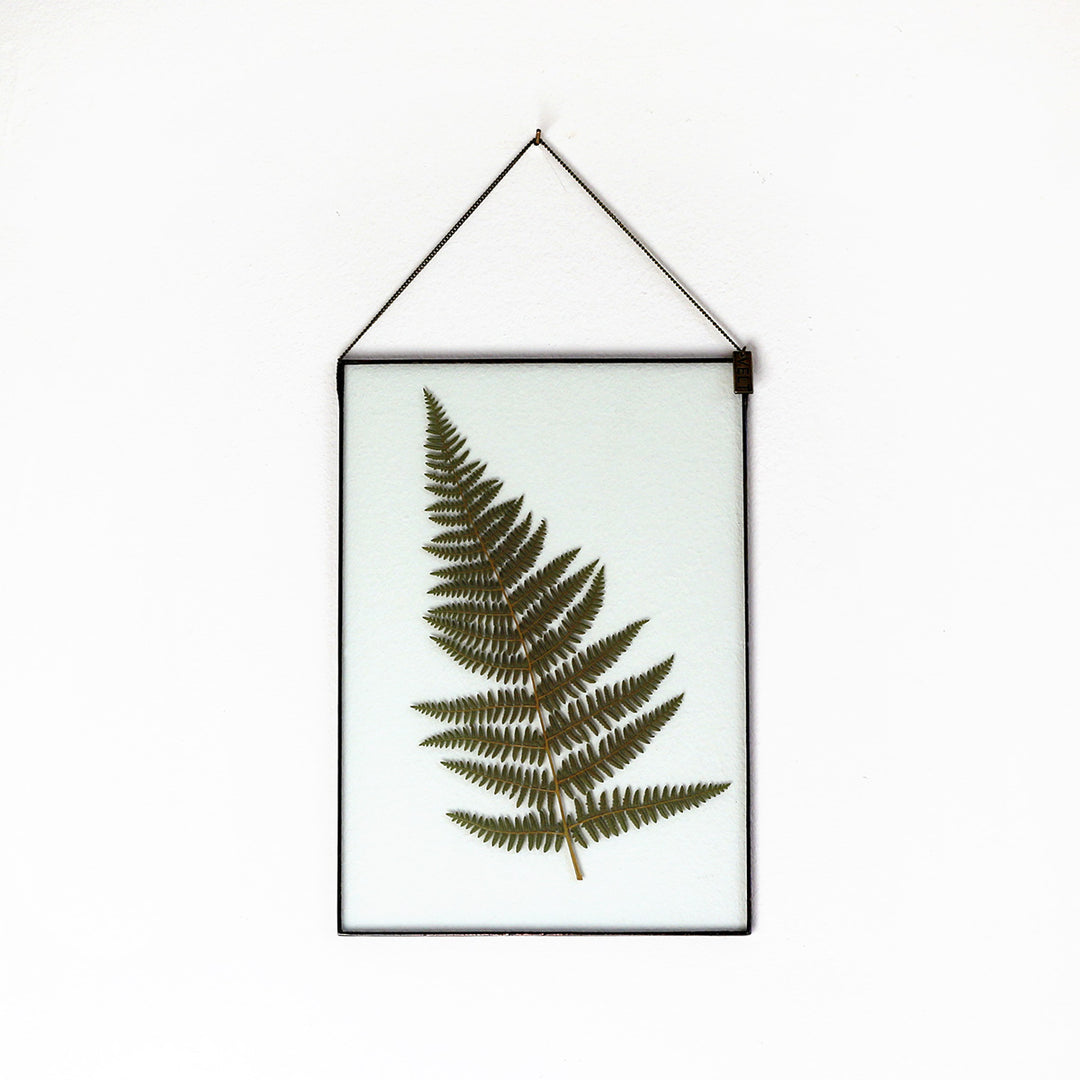 VELT Botanical Frame - Large Fern - Shop Online!