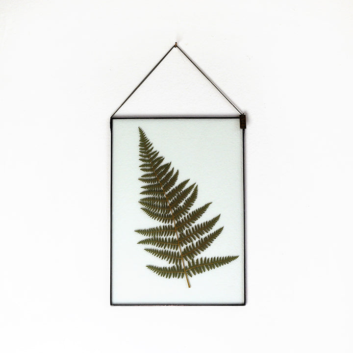 VELT Botanical Frame - Large Fern - Shop Online!