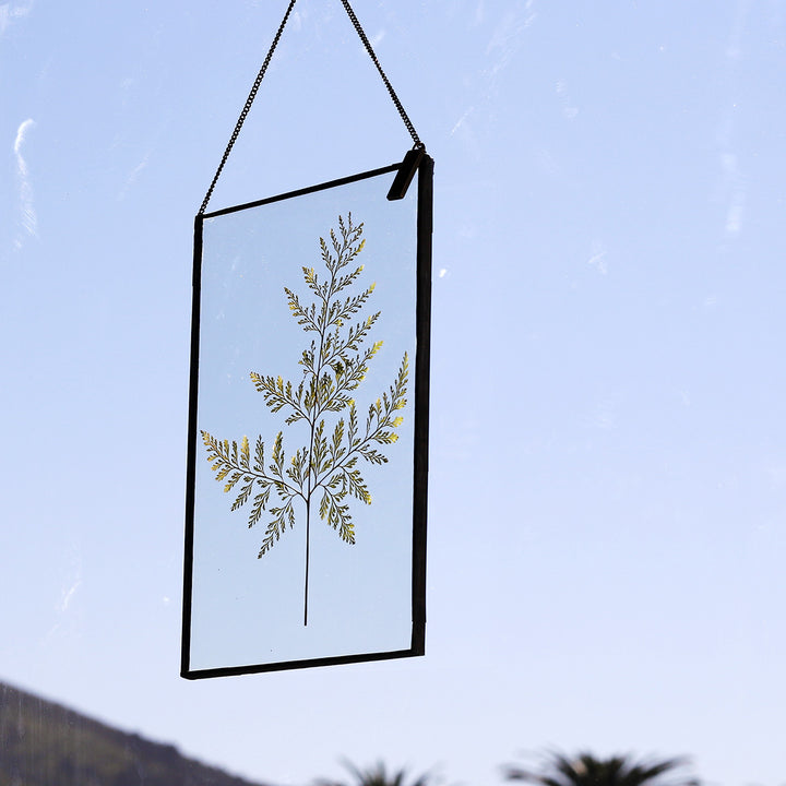 VELT Botanical Frame - Large Fern - Shop Online!