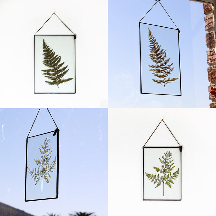 VELT Botanical Frame - Large Fern - Shop Online!