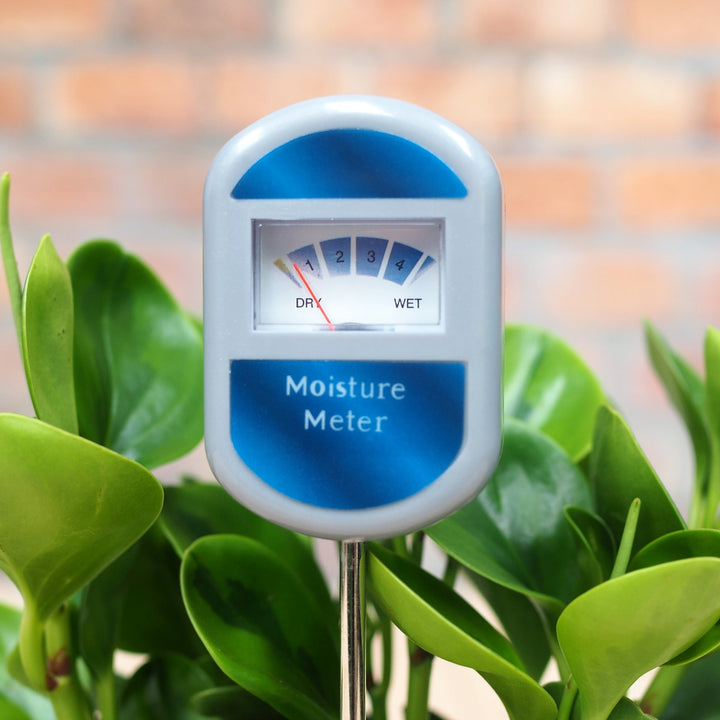 Moisture Meter - Shop Online!
