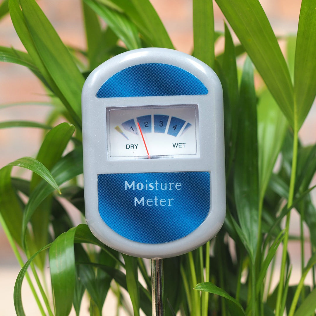 Moisture Meter - Shop Online!