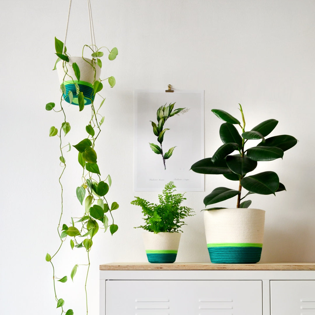 Mia Melange - Moss Green - Shop Online!