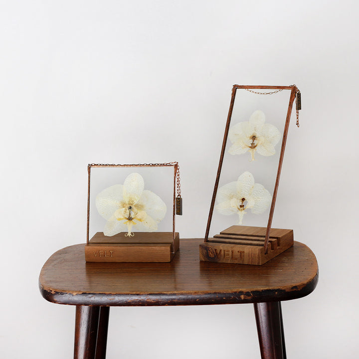 VELT Botanical Frame - Orchid - Shop Online!