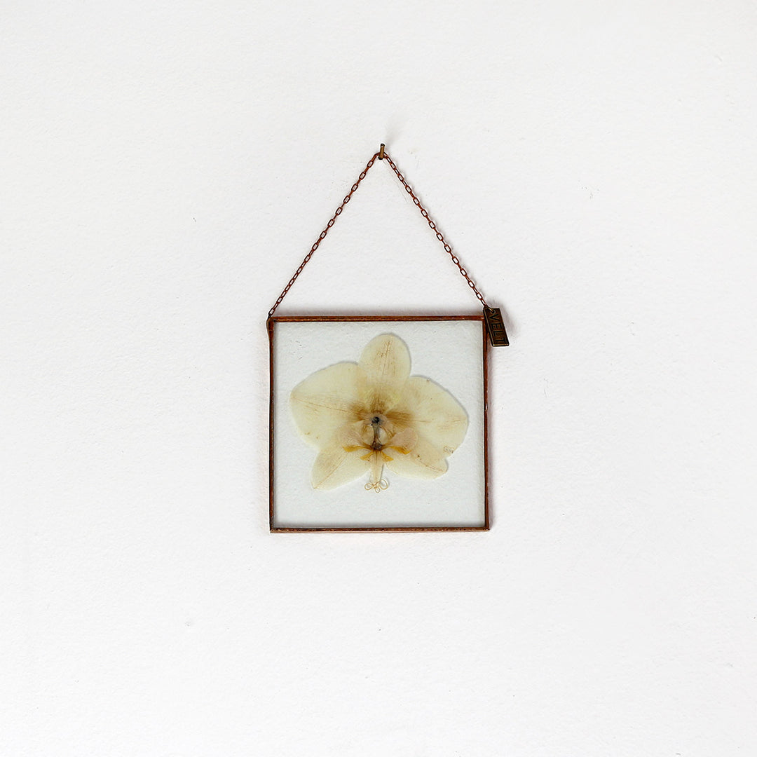 VELT Botanical Frame - Orchid - Shop Online!