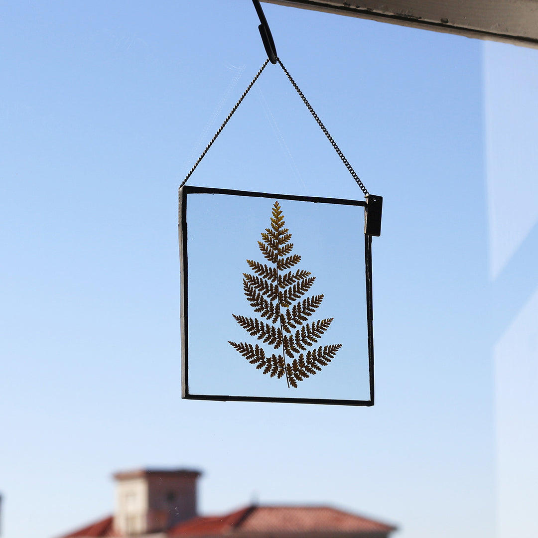 VELT Botanical Frame - Ferns - Shop Online!