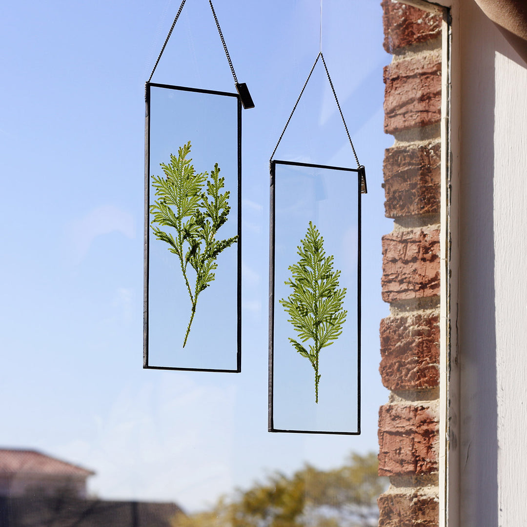 VELT Botanical Frame - Ferns - Shop Online!
