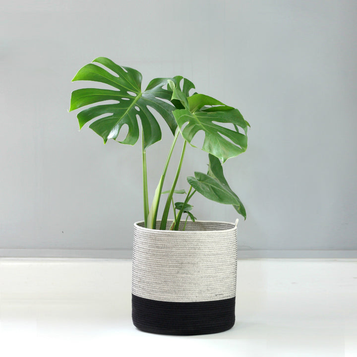 Mia Melange - XL Planter - Shop Online!