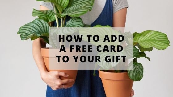 How to add a FREE card to your Order