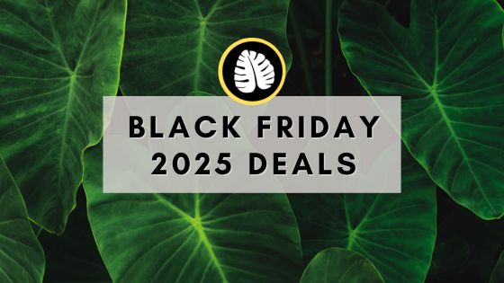 Plantify Black Friday 2025 Deals