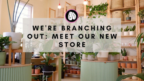 We're Branching Out: Meet Harriet - our new Store!