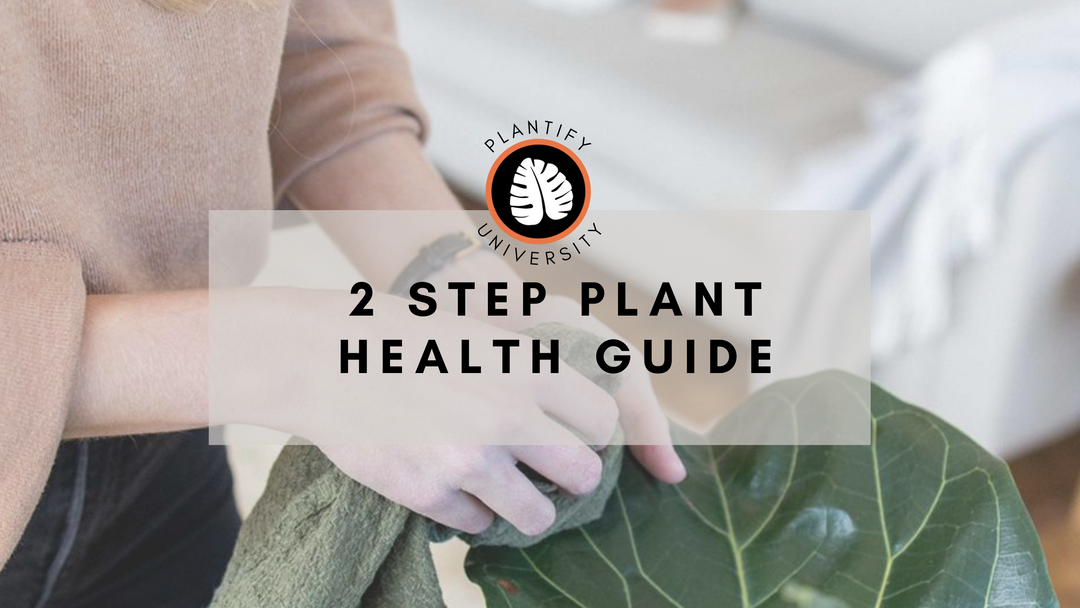 2-Step Plant Health Guide