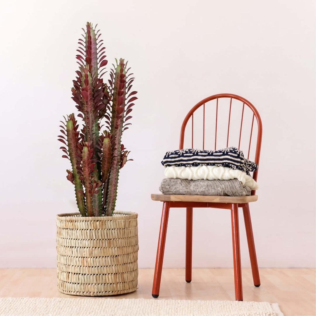 Red chair with folded clothes next to a potted plant on a light pink background