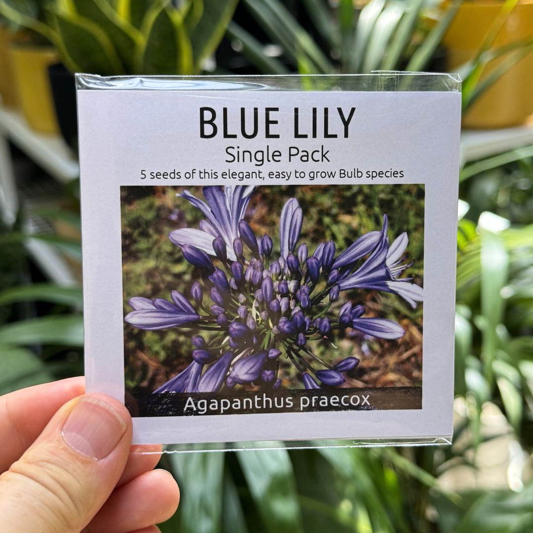Blue Lily seed packet held by a hand with plants in the background