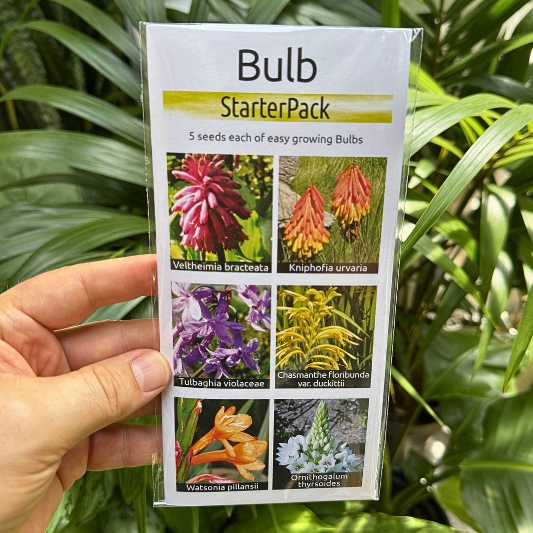 Bulb seed starter pack held up against foliage