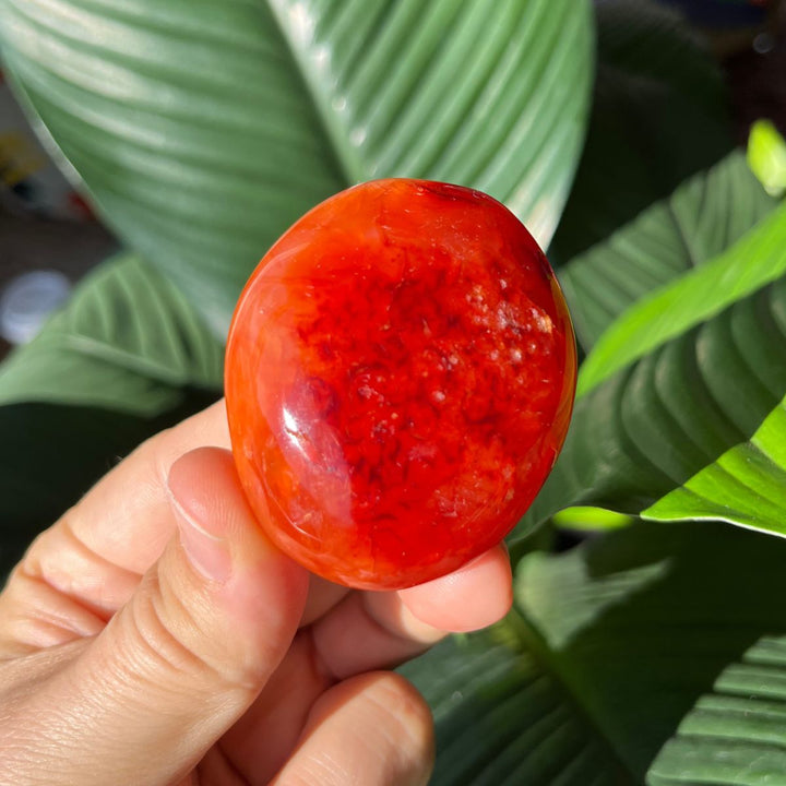 Carnelian Gallets - Polished Palm Stones - Shop Online!