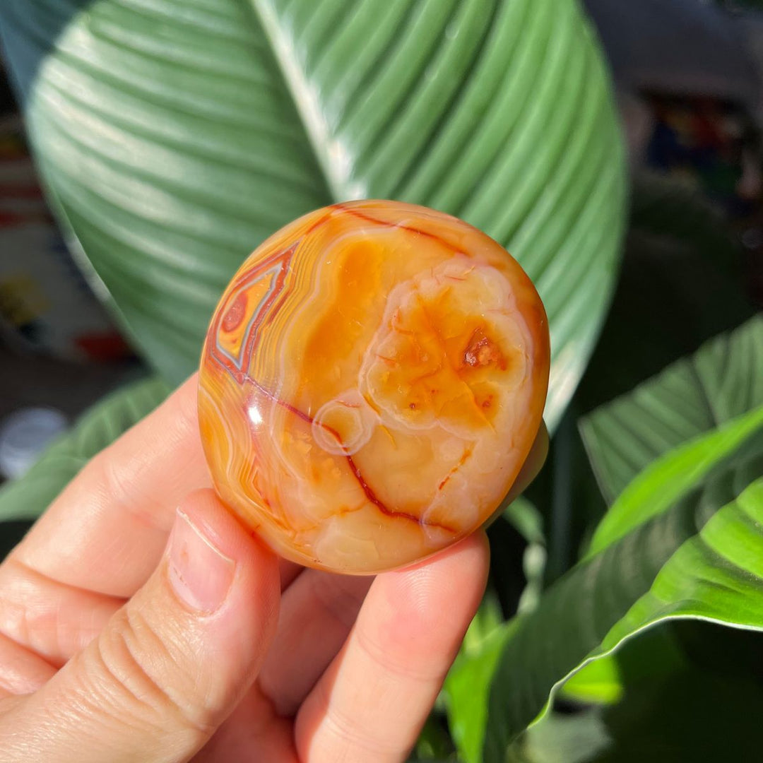 Carnelian Gallets - Polished Palm Stones - Shop Online!