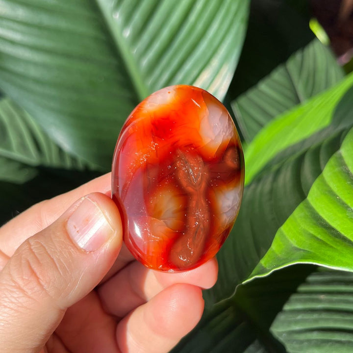 Carnelian Gallets - Polished Palm Stones - Shop Online!