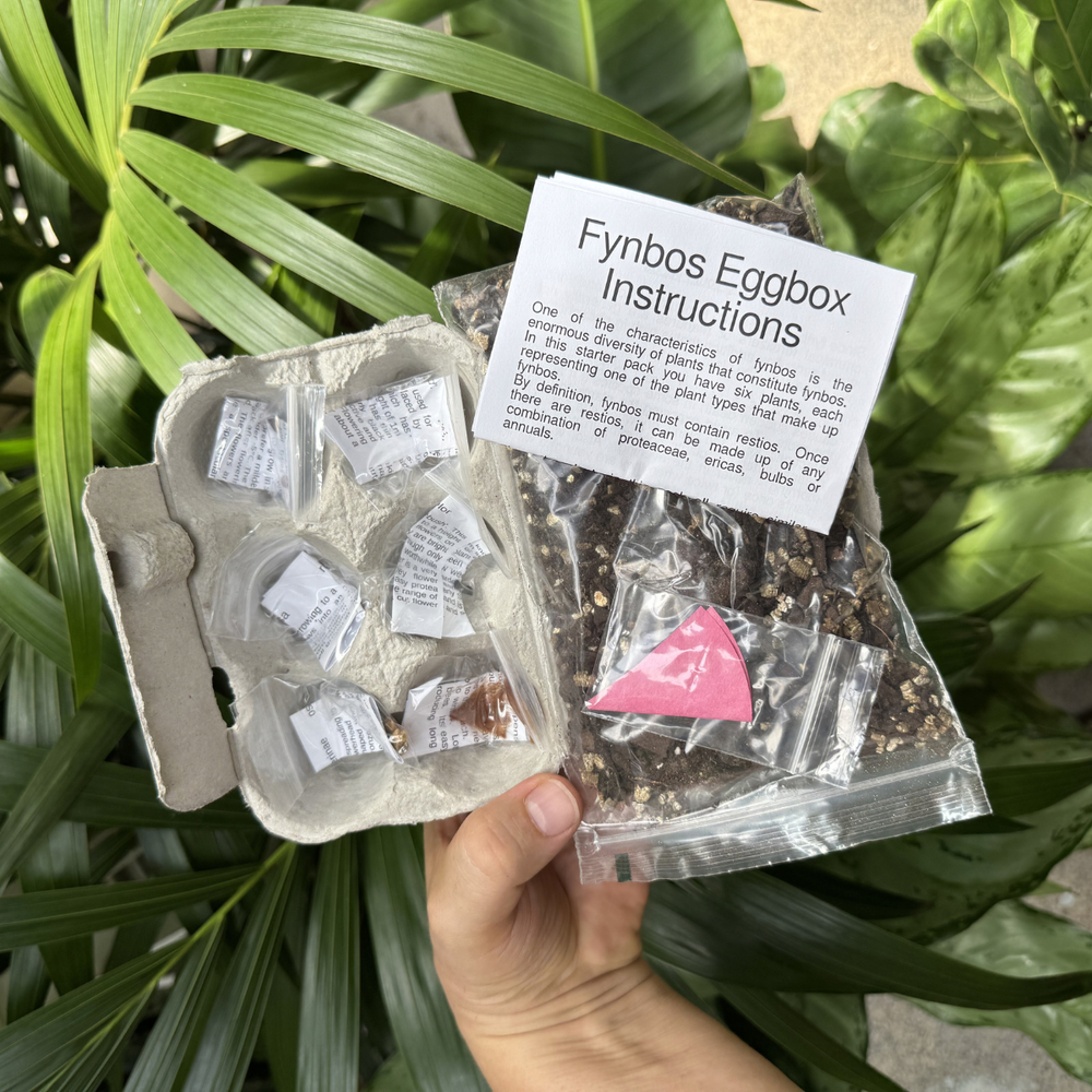 Hand holding a plant seedling kit with instructions against a green leafy background