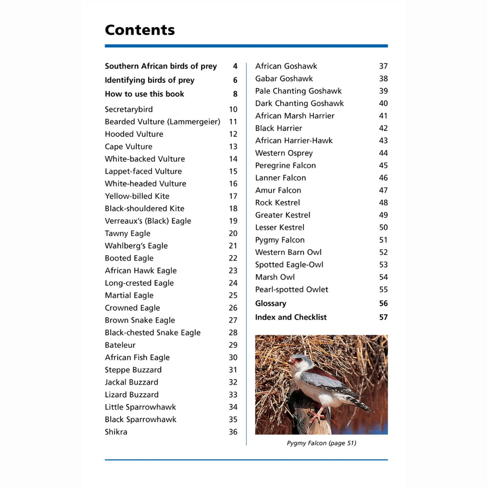 Table of contents for a book on Southern African birds of prey with a Pygmy Falcon illustration.