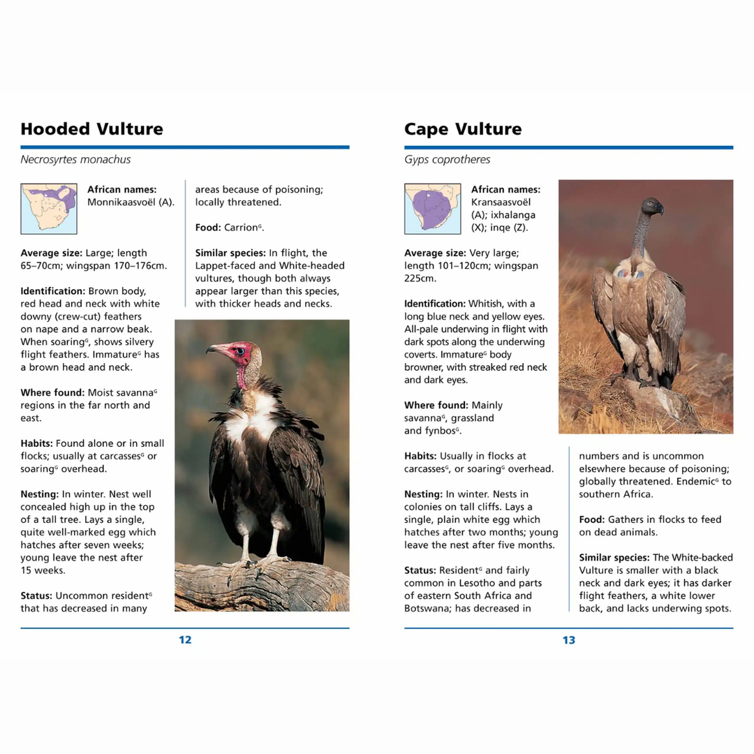 Page from a book or magazine showing information about Hooded Vulture and Cape Vulture with images and text.