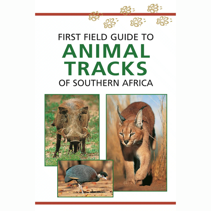 Book cover of &