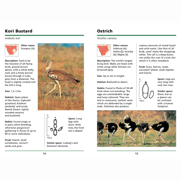 Two pages from a book or magazine featuring information about Kori Bustard and Ostrich, with images and text.